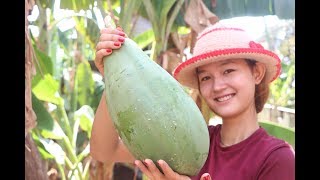 Yummy Papaya Salad Recipe  Asian Papaya Salad  Village Food KH [upl. by Ahsienahs]