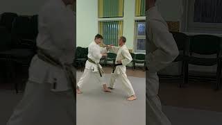 Nijushiho kata effective bunkai nr 8 shorts [upl. by Aysahc]