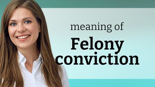 Understanding quotFelony Convictionquot A Guide for English Learners [upl. by Atilrak]