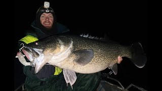 Ty Edmonds Cod on Lazy Mullet [upl. by Ardnoel106]