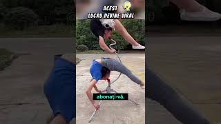 VIDOCLIPUL ACESTA A DEVENIT VIRAL viral curiozități [upl. by Charry858]