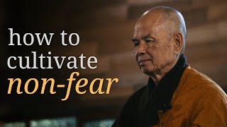 Love is Protection  Teaching by Thich Nhat Hanh [upl. by Aihcila]