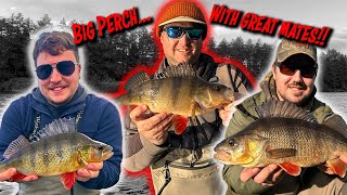 BIG Perch and Pike On Lures Two Venues In One Day [upl. by Nayrbo]