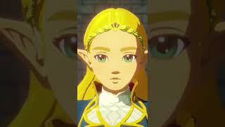 TERRAKO nintendo zelda gameplay videogames games game foryou funny shorts viral fyp [upl. by Paxton]