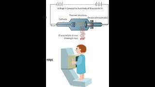 Lect no 88 nuclear imaging physics image formation and collimator typesFRCR Physics [upl. by Ymarej124]