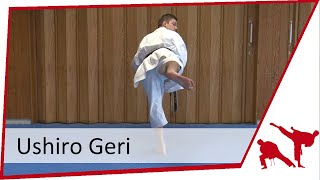 Tutorial Ushiro Geri [upl. by Khoury]