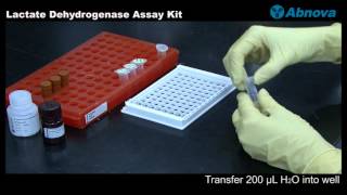 Lactate Dehydrogenase Assay Kit [upl. by Vanda]