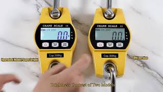 Bonvoisin 300kg crane scale digital hanging scale [upl. by Earahc396]