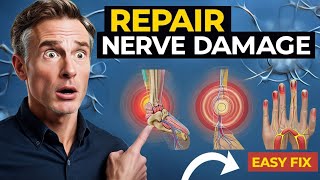 Research Reveals This Repairs Nerve Damage [upl. by Alonso]