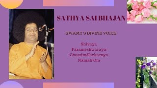 Shivaya Parameshwaraya ChandraShekaraya Namah OmSWAMYS DIVINE VOICE  Sathya Sai Baba Bhajan [upl. by Rossy]