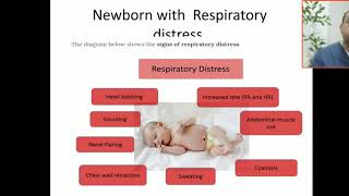 Case 27 how to differentiate between RDS AND NEONATAL pneumonia [upl. by Stavros]