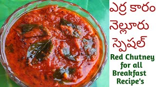 ఎర్రకారం  Erra Karam  Nellore Special Erra Karam in telugu  Red Chutney for Breakfast Recipes 👌 [upl. by Ecienahs]