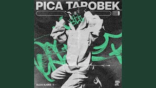 PICA TAROBEK [upl. by Leirbaj]