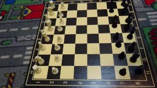 Schach  Die Anfangsstellung der Figuren auf dem Schachbrett [upl. by Creight]