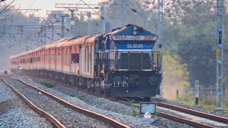 LIVE ACCIDENT  Train hits a cow [upl. by Ahscrop]