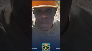 Jamaican man tell why so much nonsense in jamaica jamaicajamaica reaction its just jamaica [upl. by Lattimer]