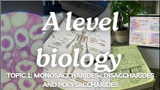 A level biology Edexcel A Topic 1 Monosaccharides Disaccharides and Polysaccharides [upl. by Ahseneuq641]