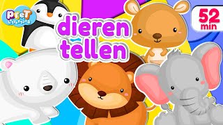 Pretlettertjes Dieren Tellen Special  meer • Voor Baby Dreumes amp Peuter [upl. by Joselow616]