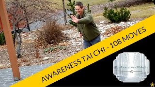 108 Move Tai Chi Set Taught To Me By Mr Moy Lin Shin [upl. by Delahk]