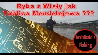 Ryba z Wisły jak tablica Mendelejewa [upl. by Browne]