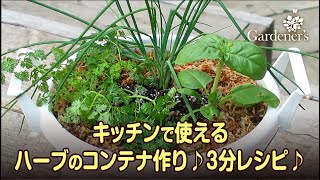 ♪春の寄せ植え3分レシピ ♪キッチンで使えるハーブのコンテナ作り [upl. by Hamaso369]