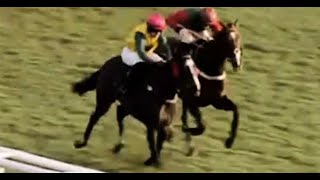 Doncaster 12292023 races replay and results  Horse Racing [upl. by Immaj384]