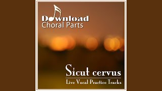 Sicut cervus  Tenor Emphasized [upl. by Seidel]