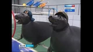 LEAKED VIDEO Russian Navy Seals Training [upl. by Other]