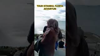 Tour FLORYA AKVARYUM istanbul youtbeshort shortvideo ytshorts zstravellingvlog [upl. by Yssis]