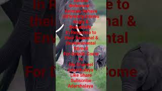 Exploring the Curious World of Animal Behavior shorts youtubeshorts mscviral ytshortstrending [upl. by Matthiew]