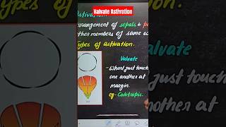 Valvate Astivation  Morphology of Flowering Plants  Simran Maam neet2025 biologyshorts yt [upl. by Esertap]