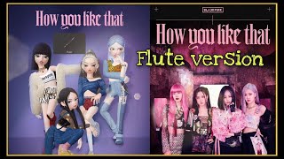 Blackpink quotHow You Like Thatquot flute version ipad cover [upl. by Eneluqcaj367]