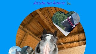 vlog ze stajni ❤️ jazda na kawie 🦋 [upl. by Hueston]