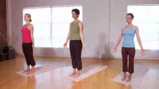 Introduction to DoshaBalancing Yoga [upl. by Irelav]