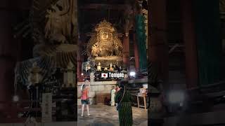 Todaiji Temple in Nara 🇯🇵  Kojik Kishora [upl. by Annehsat]