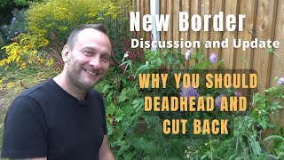 New Border Update  Deadheading and Cutting Back  Plant Discussion  Gardening Tips and Advice [upl. by Ohs]