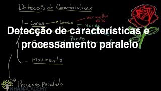 Detecção de características e processamento paralelo  Visão  Khan Academy [upl. by Lasala]