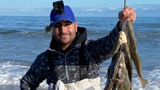 Fishing For One Of The Tastiest Fish In The Ocean Cape Hatteras OuterBanks OBX [upl. by Callie]