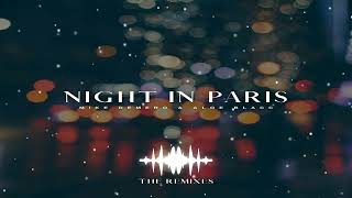 Mike Demero feat Aloe Blacc  Night In Paris Marvick Euro Remix [upl. by Atinehc]