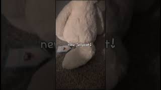 new jellycat jellycat stuffedanimals animal articfox fyp fypシ゚viral fypyoutube [upl. by Tessy]