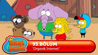 KralSakirResmi 93 Bölüm  Organik İnternet [upl. by Lihka]