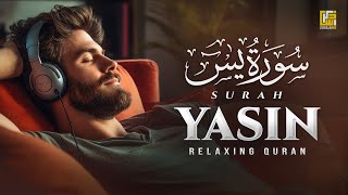 Ramadan Special  Surah Yasin Yaseen سورة يس  Relaxing Heart Touching Recitation  Zikrullah TV [upl. by Apollus642]