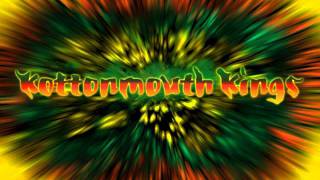 Positive Vibes Kottonmouth Kings [upl. by Jaffe]