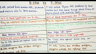 B  Cells Vs T  Cells an easy way to learn in Hindi and Urdu [upl. by Fesuoy]