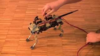 Cheetahcub mechanical robustness realtime [upl. by Eitsud]