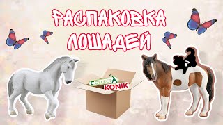 РАСПАКОВКА ЛОШАДЕЙ  CollectA Mojo  КСК quotGrandquot [upl. by Eissirk]