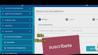 Citas de recoger carnet Migraciones Perú problemas y soluciones [upl. by Sheley637]