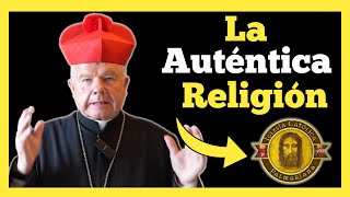 Padre Jerónimo María habla de los pecados que claman al Cielo [upl. by Aihtenyc397]