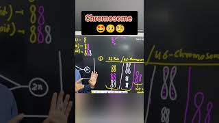 Human Chromosome  Ploidy in Human Chromosome chromosome ploidy gene viral shortindia [upl. by Phillada]