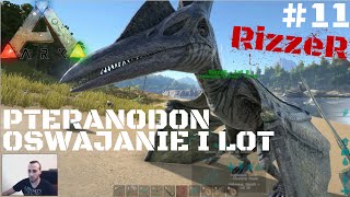 🦕 ARK Survival Evolved PL  Pteranodon  Lot Nad ARKowym Gniazdem 11 [upl. by Neelyt]